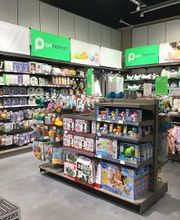 Orchestra ALBI - LESCURE D'ALBIGEOIS image 11