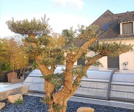 Brochard Paysage image 11