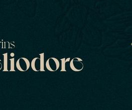 Héliodore image 17