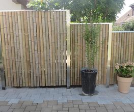 Vollenweider Gartenbau AG Bild 14