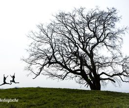 Utopikphoto image 13