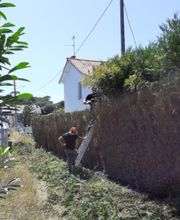 Artisan Elagueur David image 11