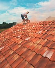 Larbère Thomas image 2