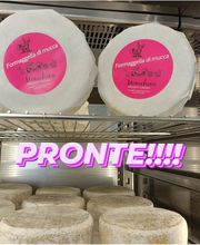 Monichina prodotti caseari Bild 6