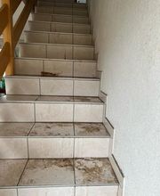 Pro Nettoyage Bild 7