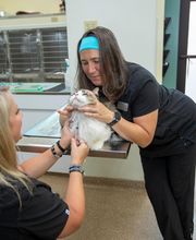 Animal Care Hospital of Morris Inc image 19