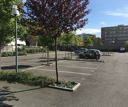 Zenpark image 4