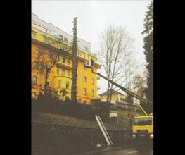 Thomas Edgar Bild 8