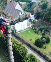 Problembaumfällung Baumpflege Klückers