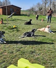 Agil'Canin 36 image 13