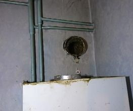 Adi Plus image 3
