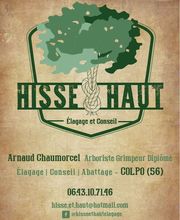 Hisse Et Haut Elagage image 7