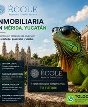ECOLE Agencia Inmobiliaria imagen 15