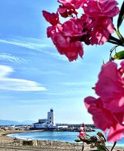 Olivo Homes imagen 6