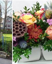 Coll's Garden Center & Florist of Jaffrey, LLC image 3