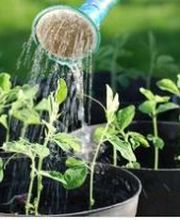 Les Compagnons de la Nature image 3