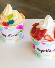 Yogurtland Plaza Mexico image 8