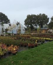 Pepinières de L'Aumance image 1