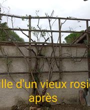 Branch' & Paysages Eirl Martin Pierre image 6