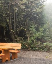 FriedWald Friolzheim Bild 8