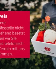 ROSENGARTEN-Tierbestattung Erding Bild 4