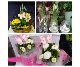 Blumenfee Hilden Bild 4