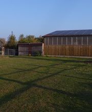 Equinus Sanitas Bild 1