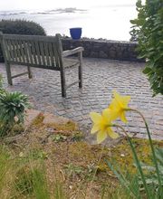 Thierry Julou TP Julou TP image 4