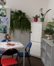 Autoschilder & Zulassungen STK Chemnitz Bild 7