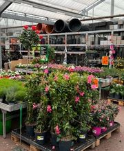 HORNBACH Gartencenter Magdeburg Bild 9