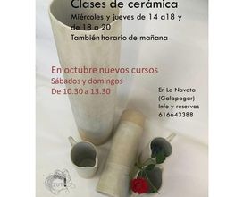 228659157-1-u7kY1VSd4U1608324497516.jpeg