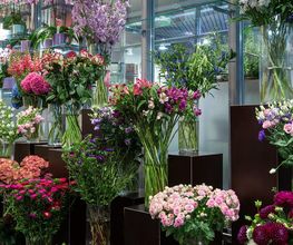 Au Bouquet Bild 6