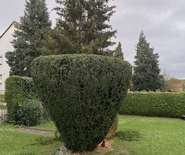 J&T Garten&TerrassenHelden Bild 5