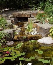 Gartengestaltung