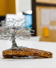 Lebensbaum - Ambulante Pflege Bild 2