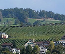 Weingut Hasenhalde Bild 1