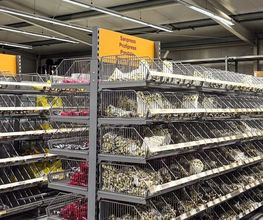 ABEX GIENGER REGENSTAUF HAUSTECHNIK Bild 3