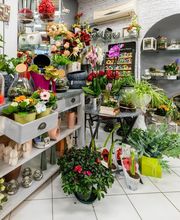 Duthil Sandrine image 13