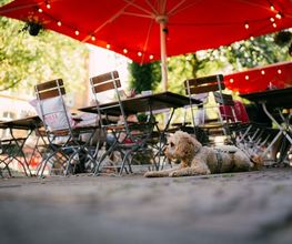 Capra Sauerteigpizzeria - Leipzig-Plagwitz Bild 13