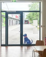 Medivet Tierarztpraxis Mannheim Bild 1