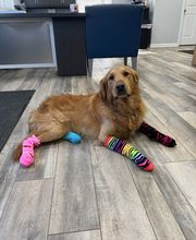 Barkley Heating & Air LLC image 3