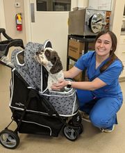 Center For Animal Health image 5