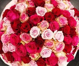 Flower's image 2