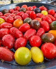 LUCA'S BBQ DI LUCA TURSI Bild 14