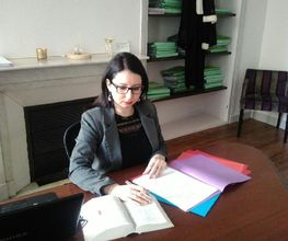 Gastou image 2
