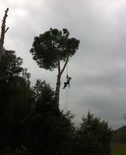 Accès Cimes image 7