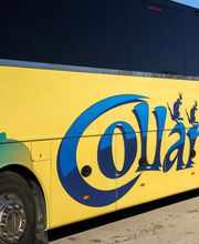 Cars Collard image 3