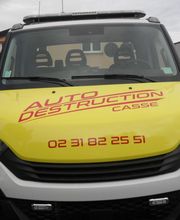 Auto Destruction image 1