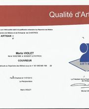 Violet Mario image 4