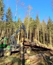 Passion Forêt SA Bild 6